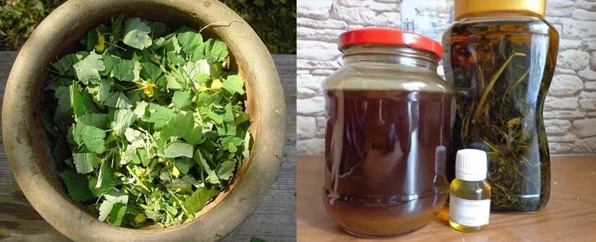 Príprava liečivej skorocelovej šťavy na ďalšie použitie v boji proti plesniam nechtov na nohách